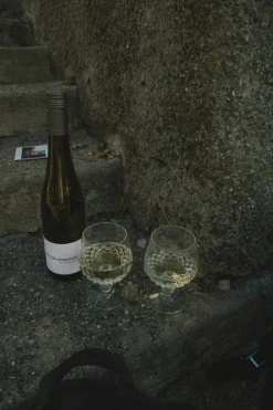 New Karo Kauer Krauburgunder